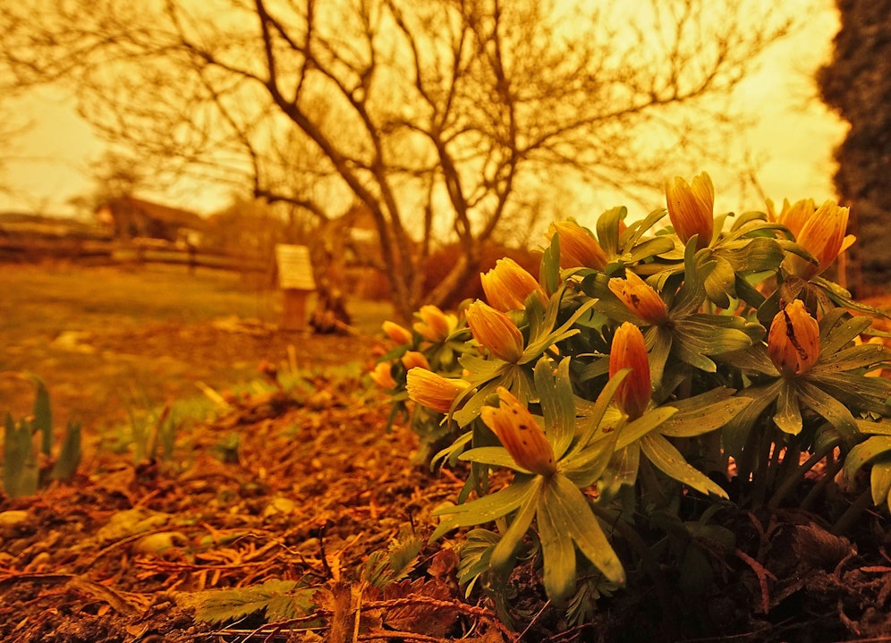 Österreich wird wieder von Saharastaub erfasst, am Donnerstag kommt es zu Blutregen.