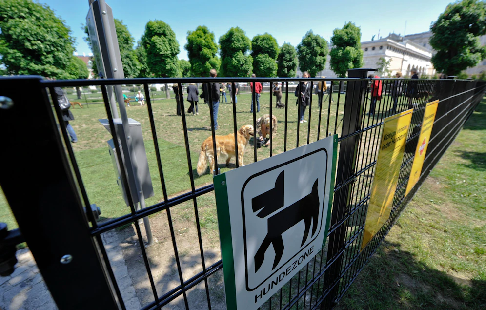 Das laute Gebell zweier Hunde dürfte der Auslöser für den Streit in der Hundezone gewesen sein. Symbolbild.