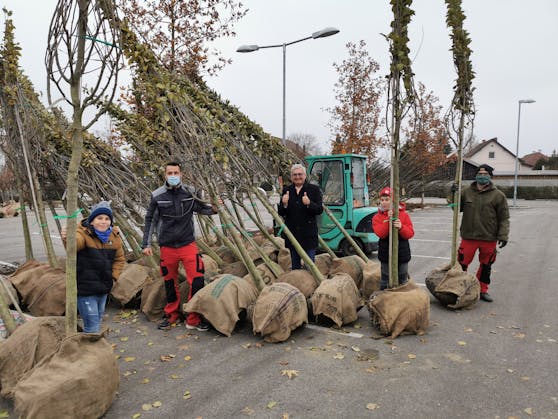 Green For Future: Kinder und Jugendliche der Marktgemeinde Grafenwörth pflanzen Bäume und übernehmen Patenschaft und Pflege.