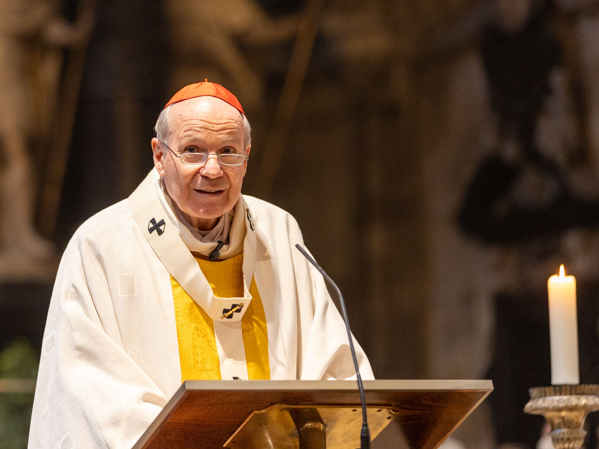 Kardinal Schönborn im Stephansdom in Wien.&nbsp;