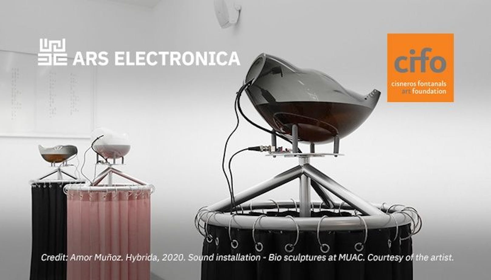 Erste CIFO-Ars Electronica Awards verliehen:  Medienkünstler*innen aus Lateinamerika ausgezeichnet.