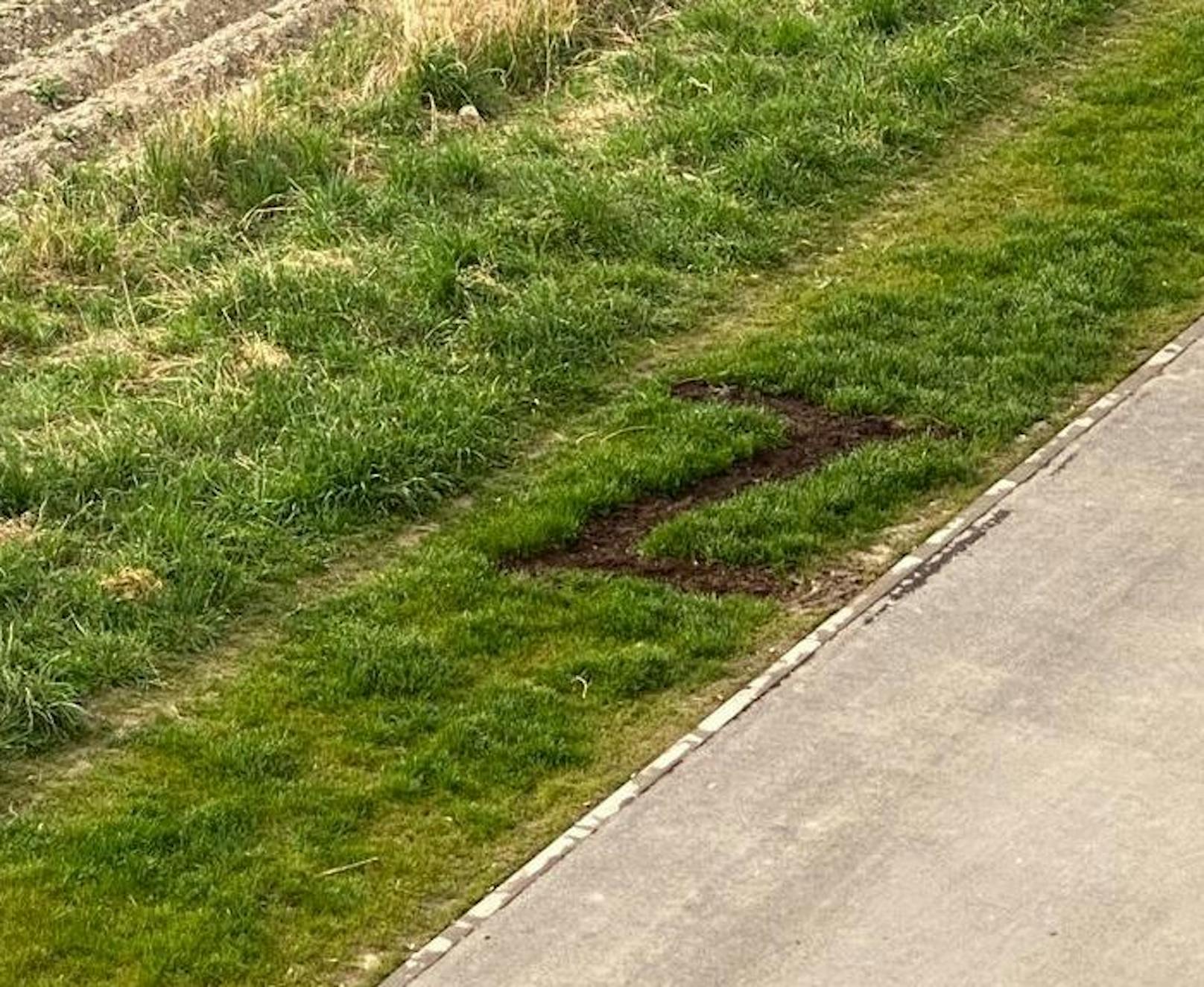 Das aus dem Ukraine-Krieg bekannten Russen-Z wurde auf einer Floridsdorfer Wiese sichtbar.