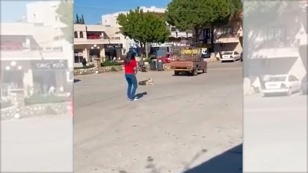 Grausame Szene aus der Bekaa-Ebene im Libanon: Eine Frau schießt auf einen Hund, im Hintergrund jubeln Kinder.