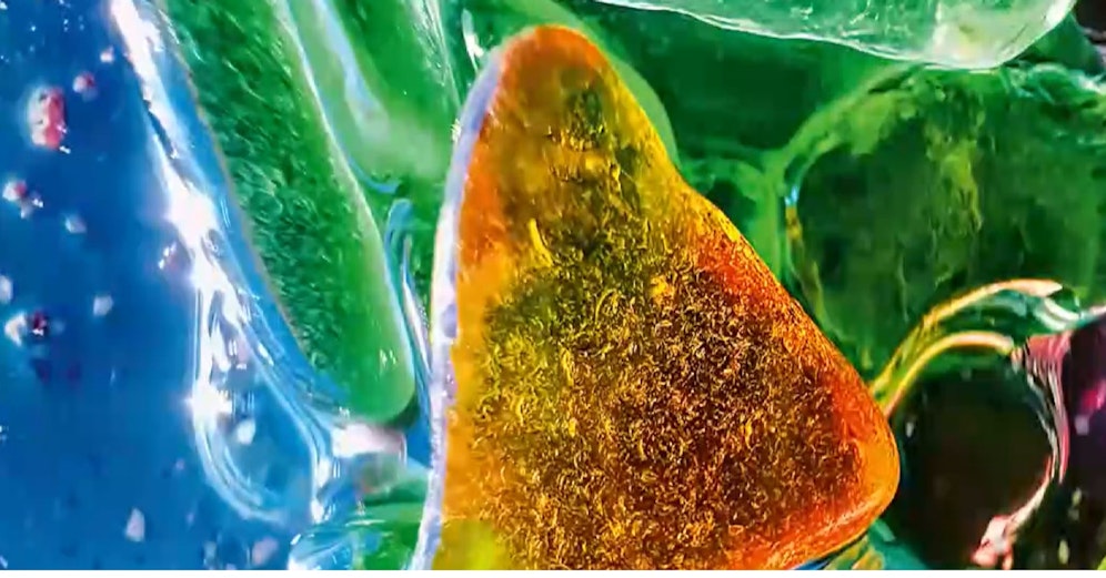 Apple-Wettbewerb: Das sind die besten iPhone-Fotos.