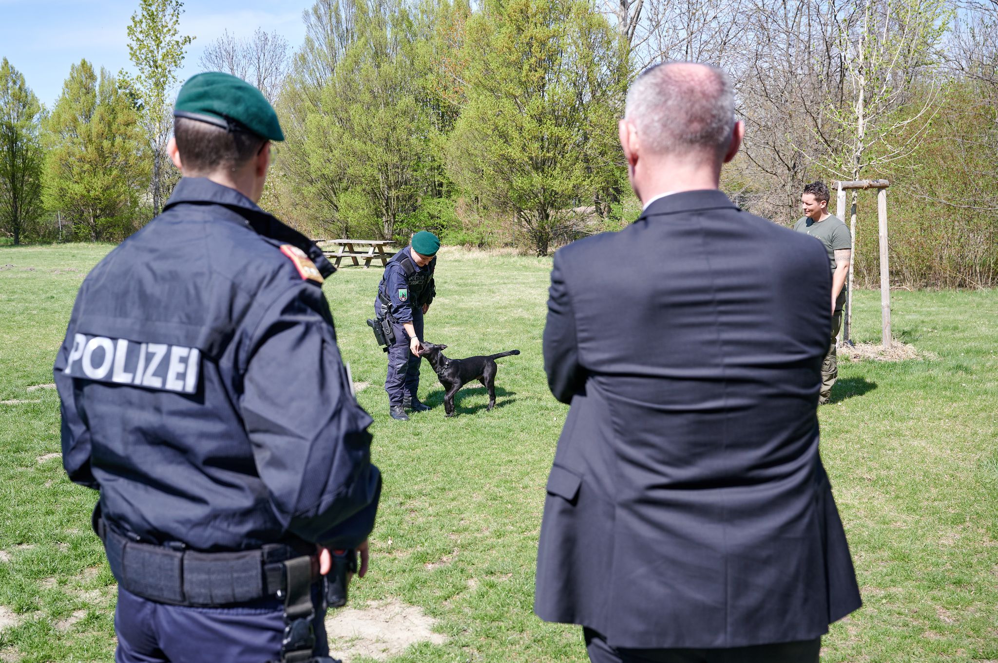 Belgische, holländische sowie deutsche Schäferhunde, Rottweiler und Riesenschnauzer dienen als Polizeidiensthunde.