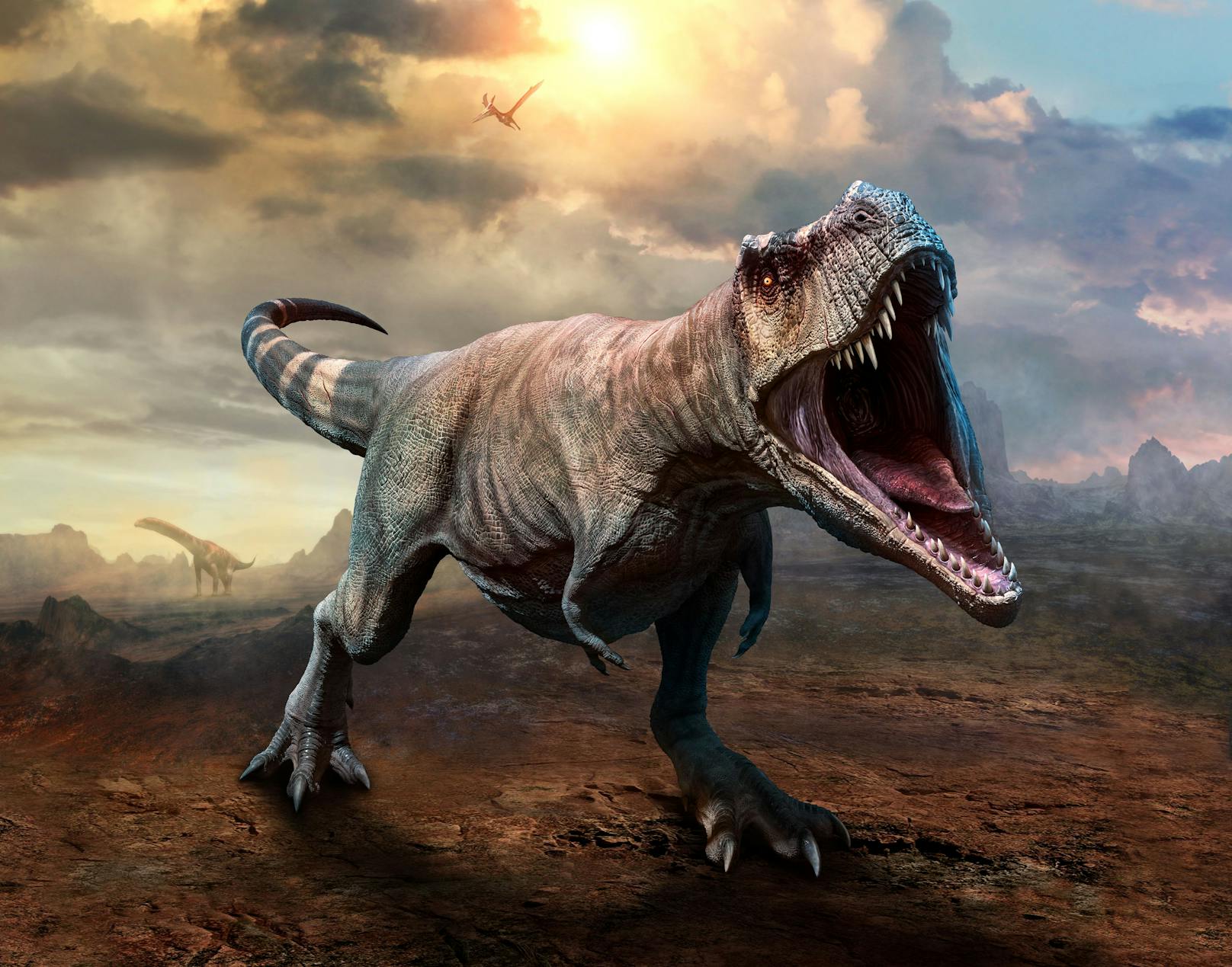 Im Vergleich zu seinem Körper und seinen gefährlichen Zähnen hatte der Tyrannosaurus erstaunlich mickrige Arme.