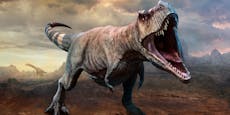 Darum waren die Ärmchen des T-Rex so kurz