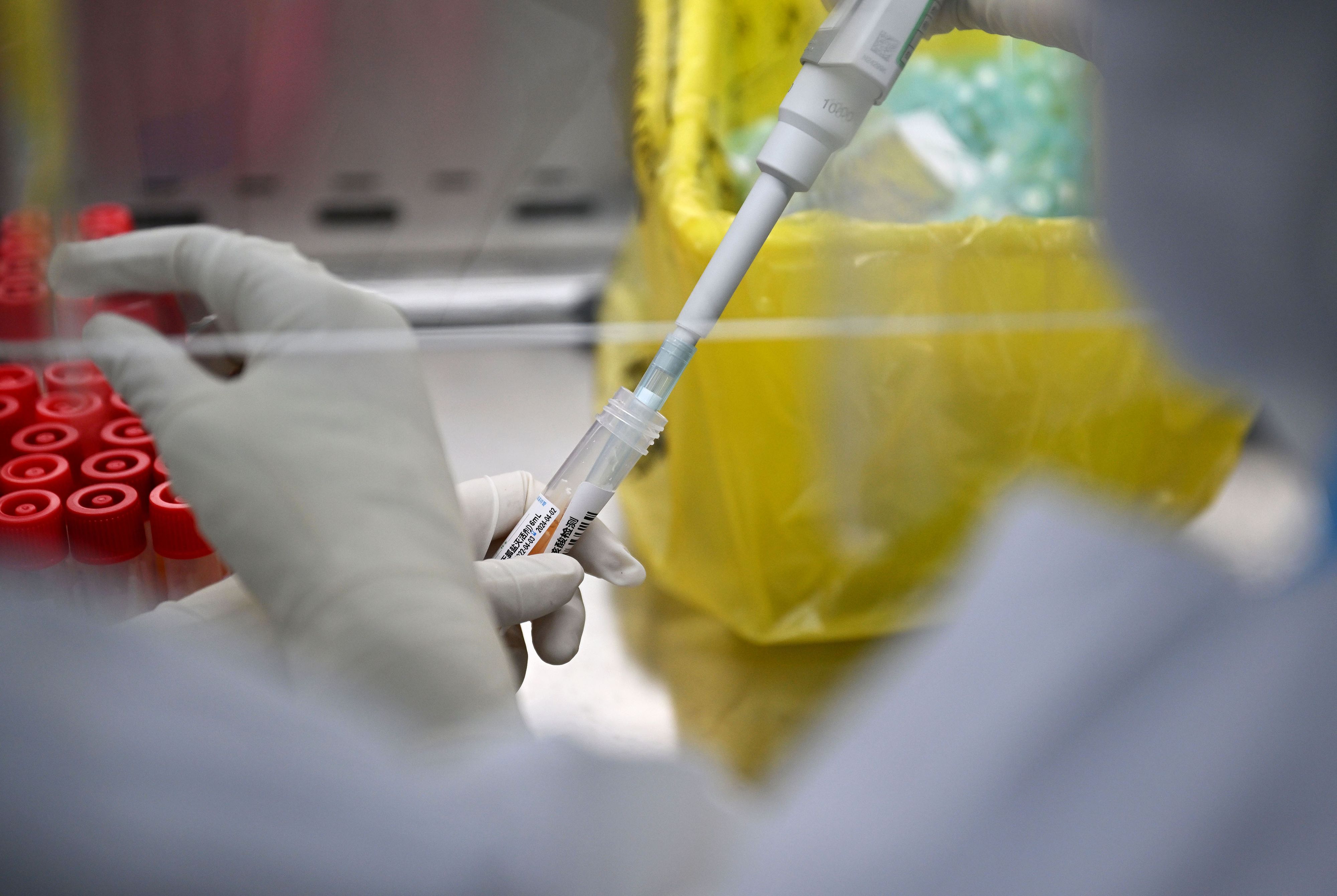 Download von www.picturedesk.com am 20.04.2022 (11:23).  (220408) -- HAIKOU, April 8, 2022 (Xinhua) -- A technician works at a nucleic acid testing laboratory in Haikou, capital of south China's Hainan Province, April 7, 2022. The nucleic acid testing laboratory was put into operation on March 25 and can handle 80,000 sample tubes per day. (Xinhua/Guo Cheng).Xinhua News Agency / eyevine :...http://. - 20220407_PD19863 - Rechteinfo: Rights Managed (RM)