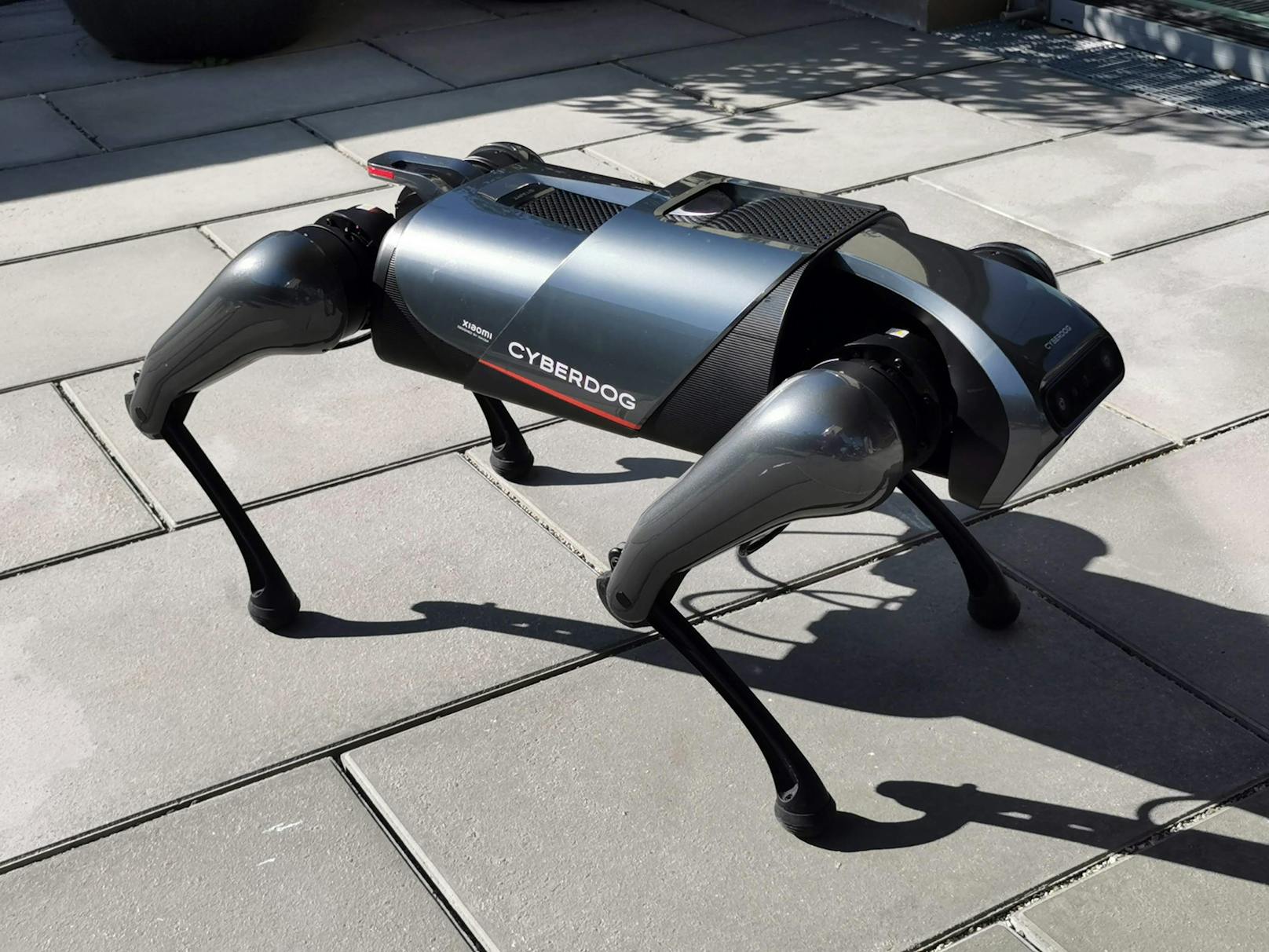 Doch was kann der Cyberdog eigentlich? Das zeigte er bei einem Besuch in der "Heute"-Redaktion. Transportiert werden kann der vierbeinige Roboter in einem ...