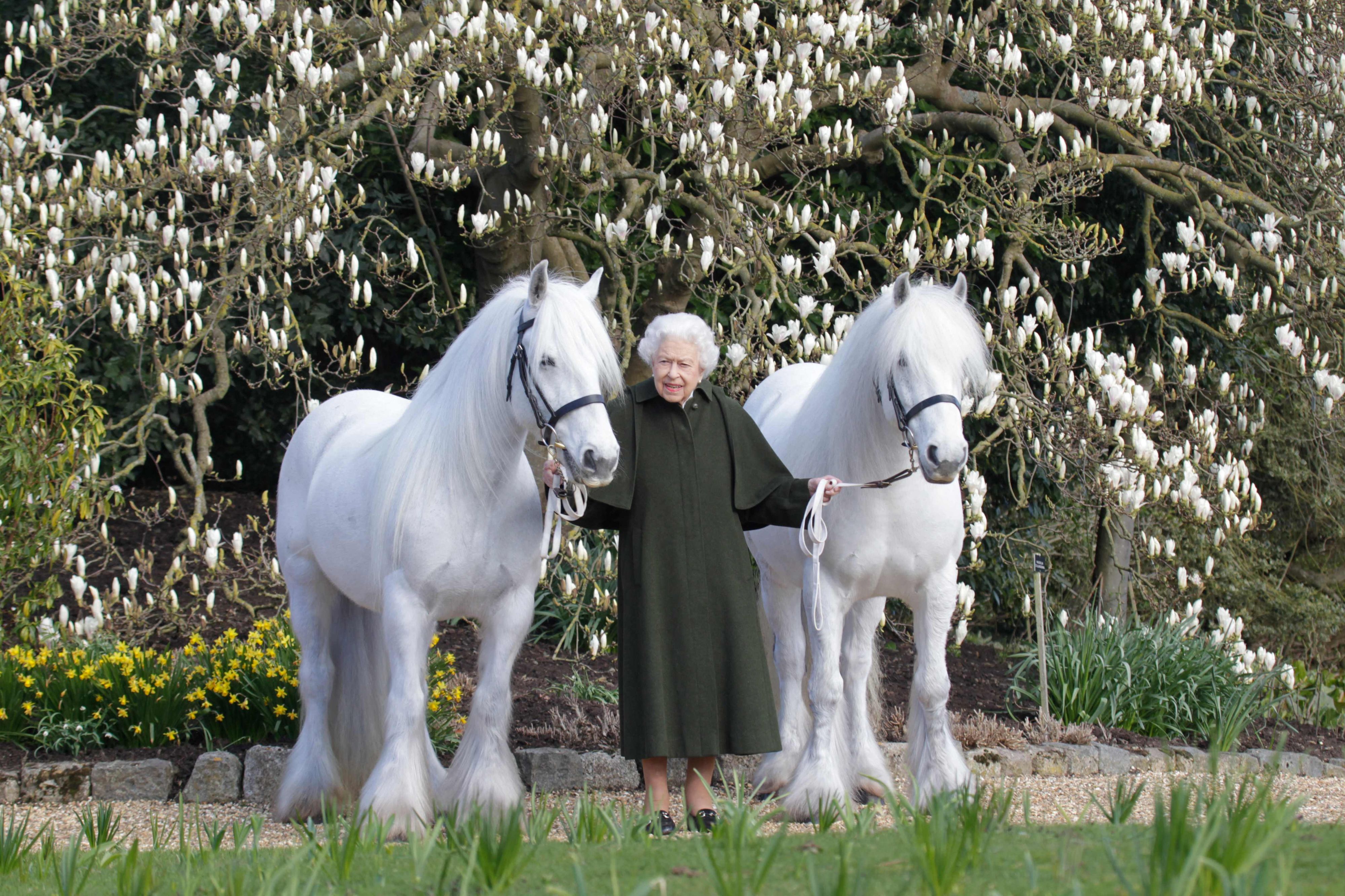 Queen Elizabeth II. begeistert mit diesem Foto.