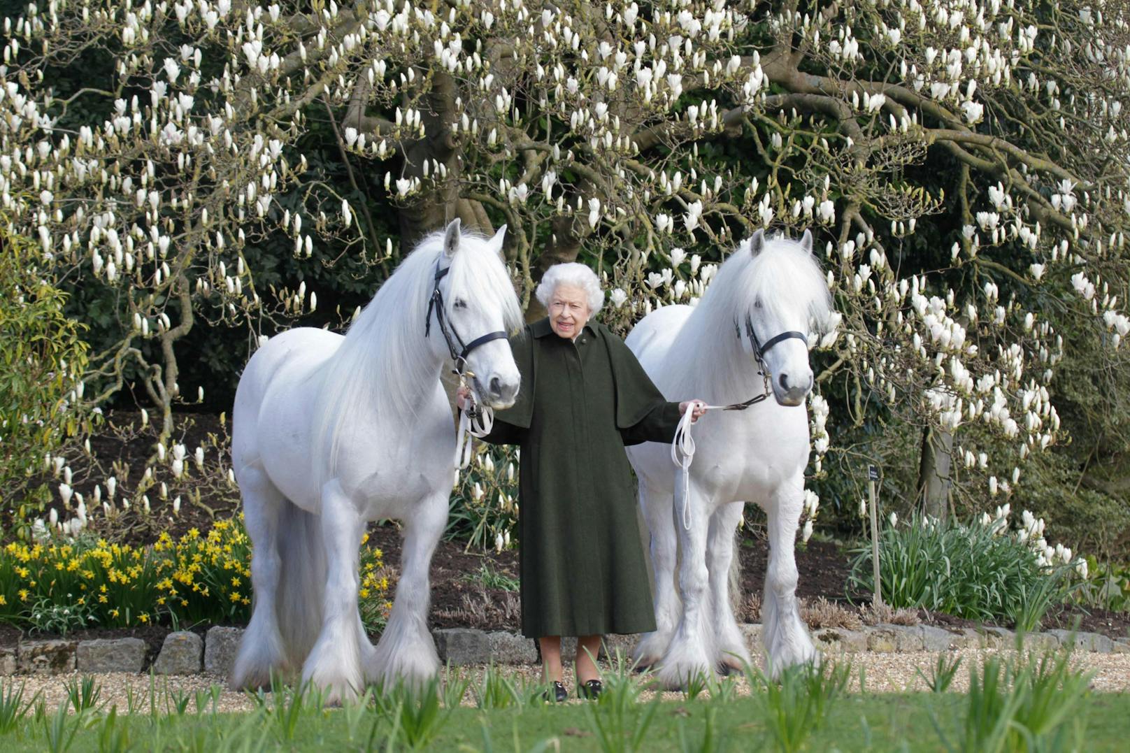 Hier posiert sie an ihrem 96. Geburtstag mit ihren zwei Pferden.