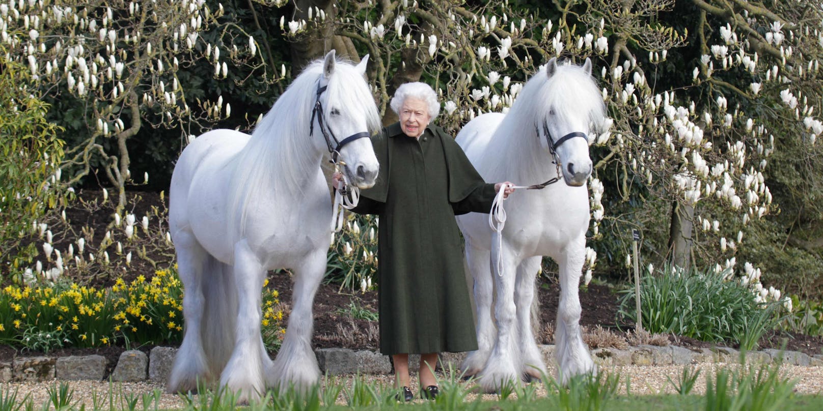 Queen Elizabeth II. begeistert mit diesem Foto.