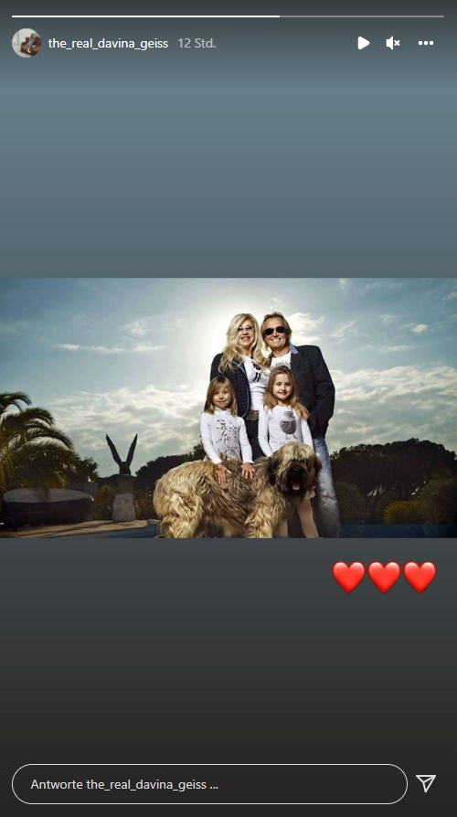 Ihr dreibeiniger Hund ist gestorben.