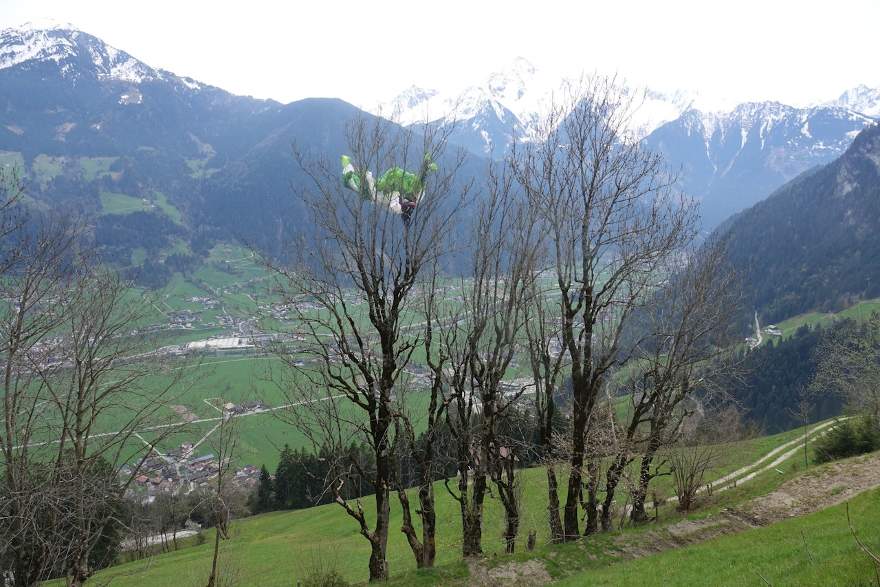 Heute.at - Missliche Lage – Flugschülerin landete in Baum
