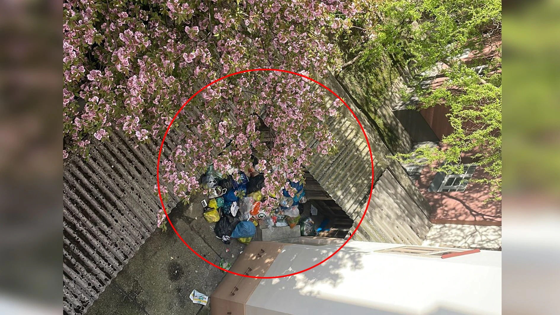 Besserung ist derzeit nicht in Sicht.