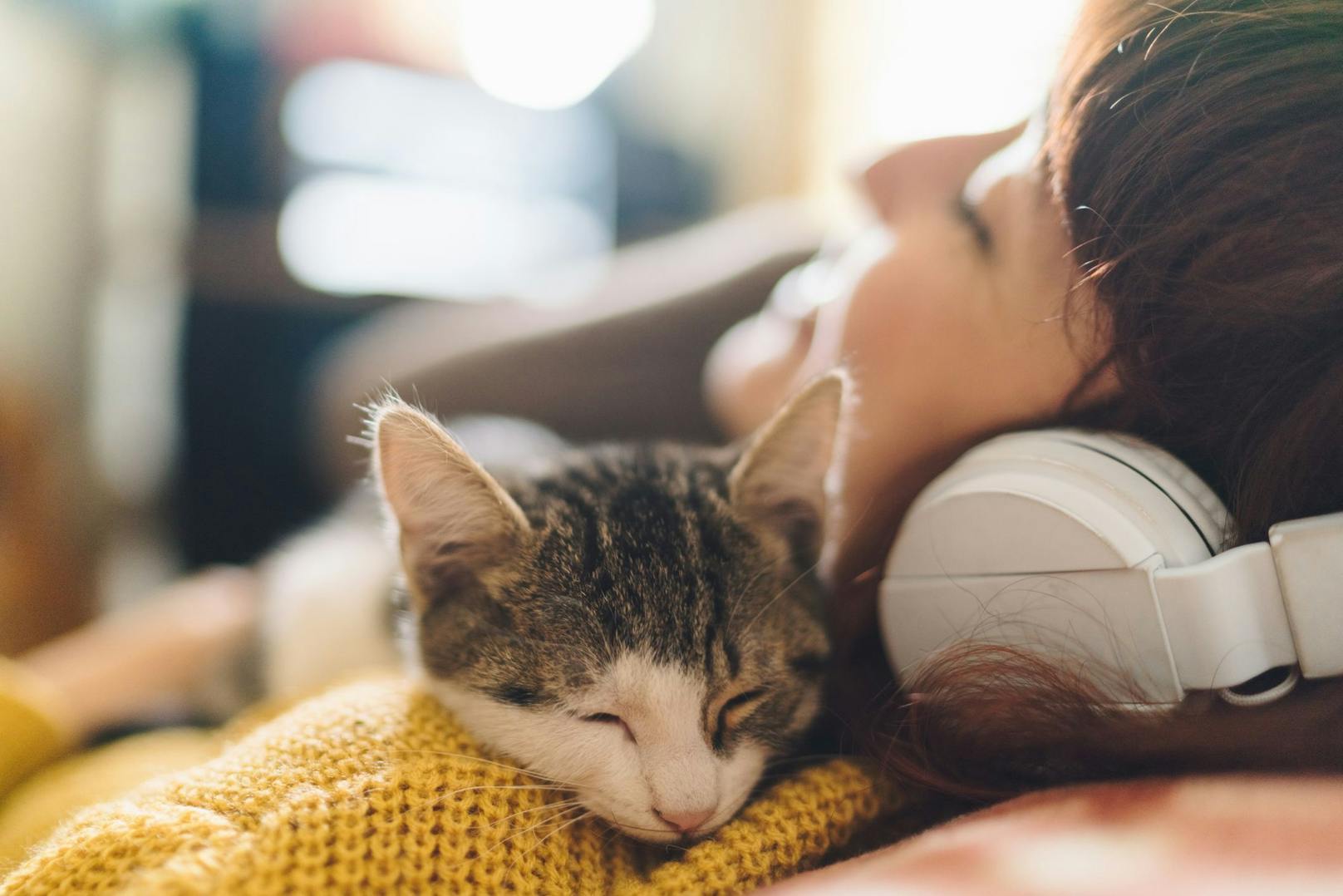 <strong>Kuscheln und schlafen</strong>: Wenn sich deine Katze gerne für ein Nickerchen zu dir legt, bedeutet dies großes Vertrauen. 