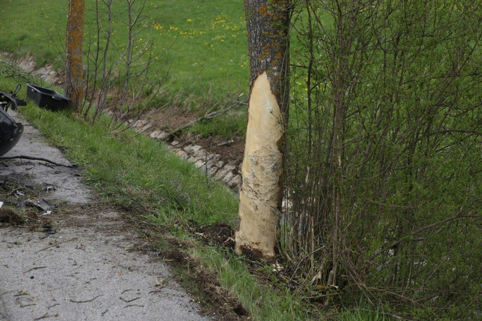 Der Aufprall auf den Baum dürfte heftig gewesen sein.