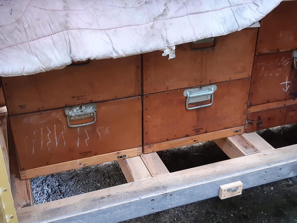 Diebstahl Bienen Nassereith