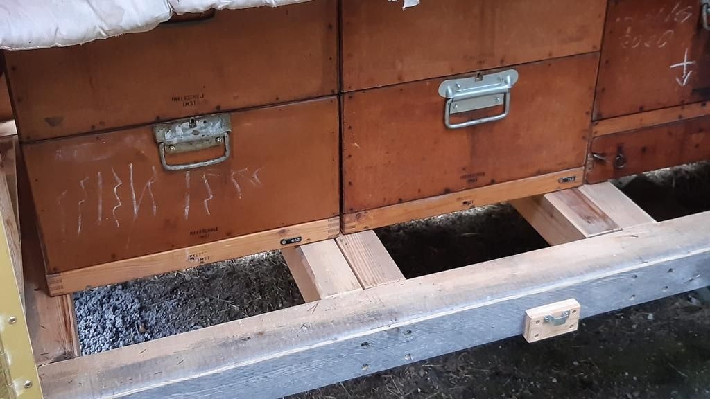 Diebstahl Bienen Nassereith