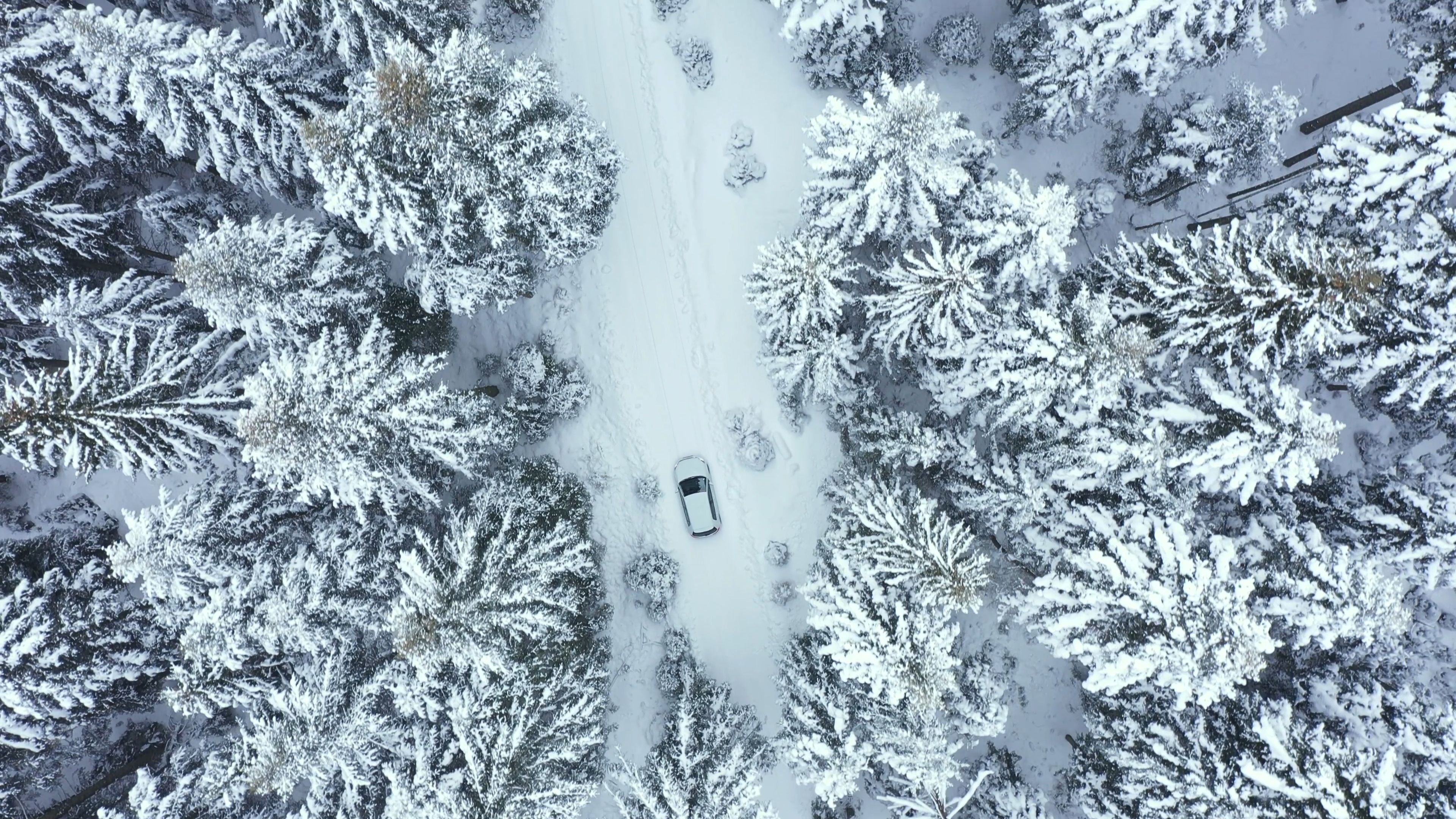 In einem abgelegenen Wald hat die Frau nur mit sechs Joghurts und dem Schnee überlebt.
