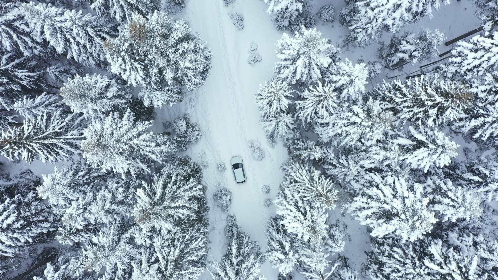 In einem abgelegenen Wald hat die Frau nur mit sechs Joghurts und dem Schnee im Auto überlebt.