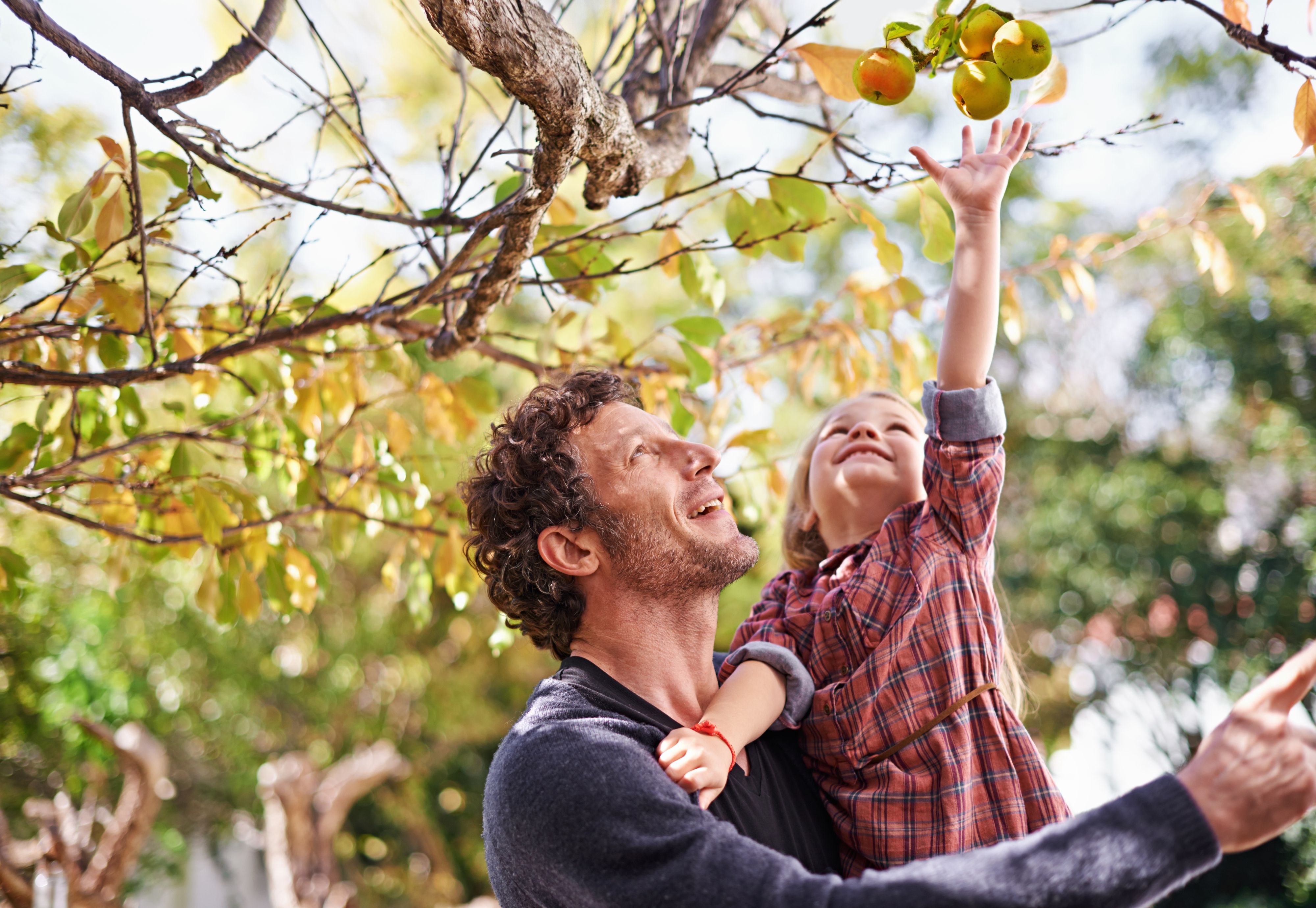 Keine Obstbäume in den Wiener Parks. 