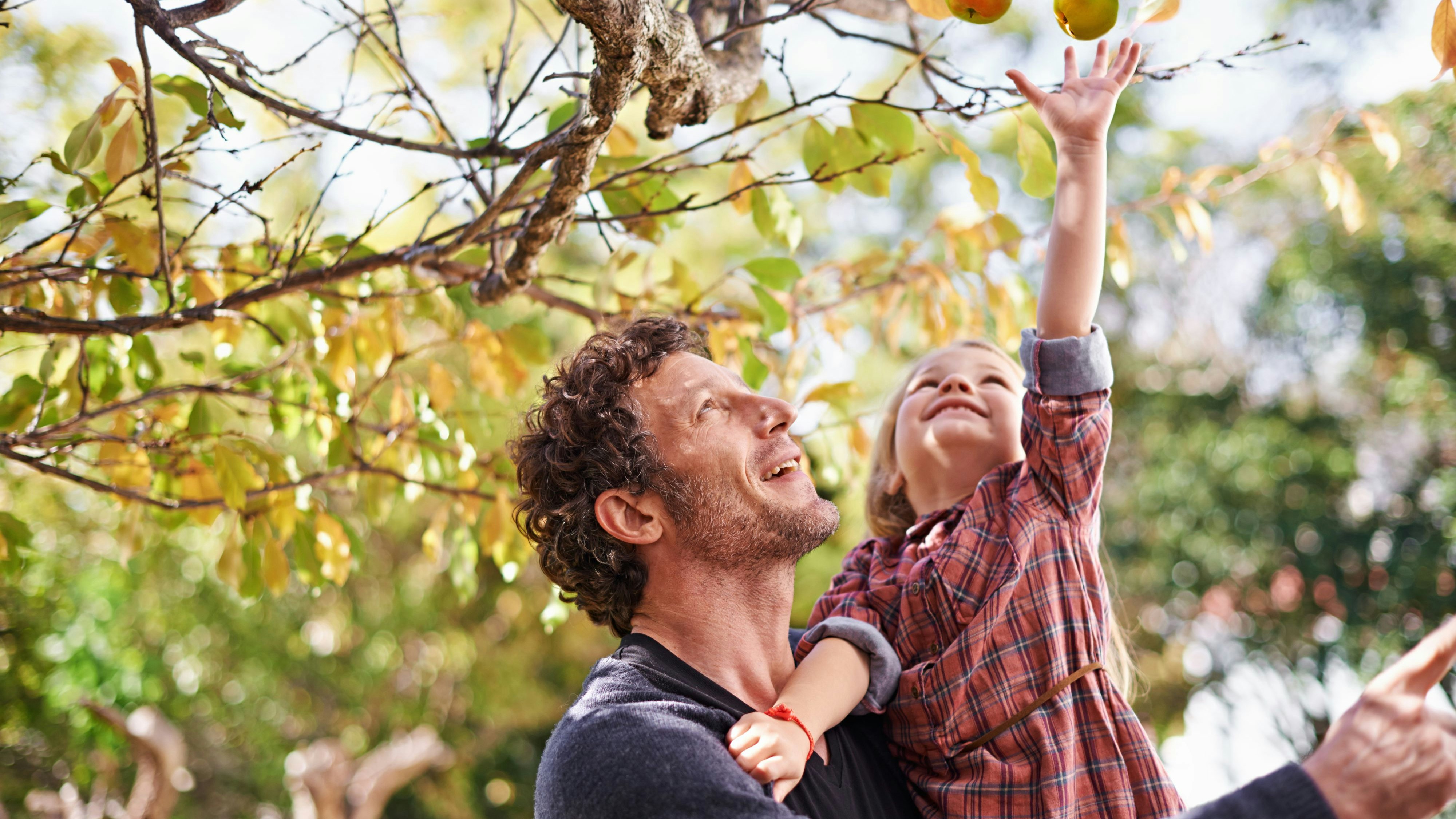 Keine Obstbäume in den Wiener Parks. 