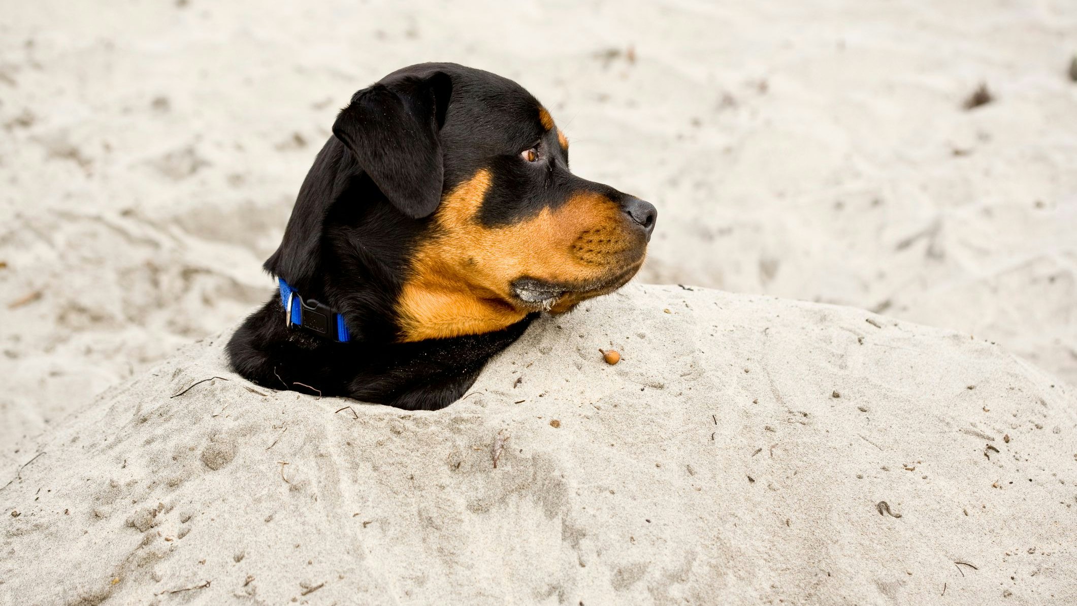 Es gibt in der deutschen Sprache schon sehr merkwürdige Redewendungen. Doch wo liegt der Ursprung? 