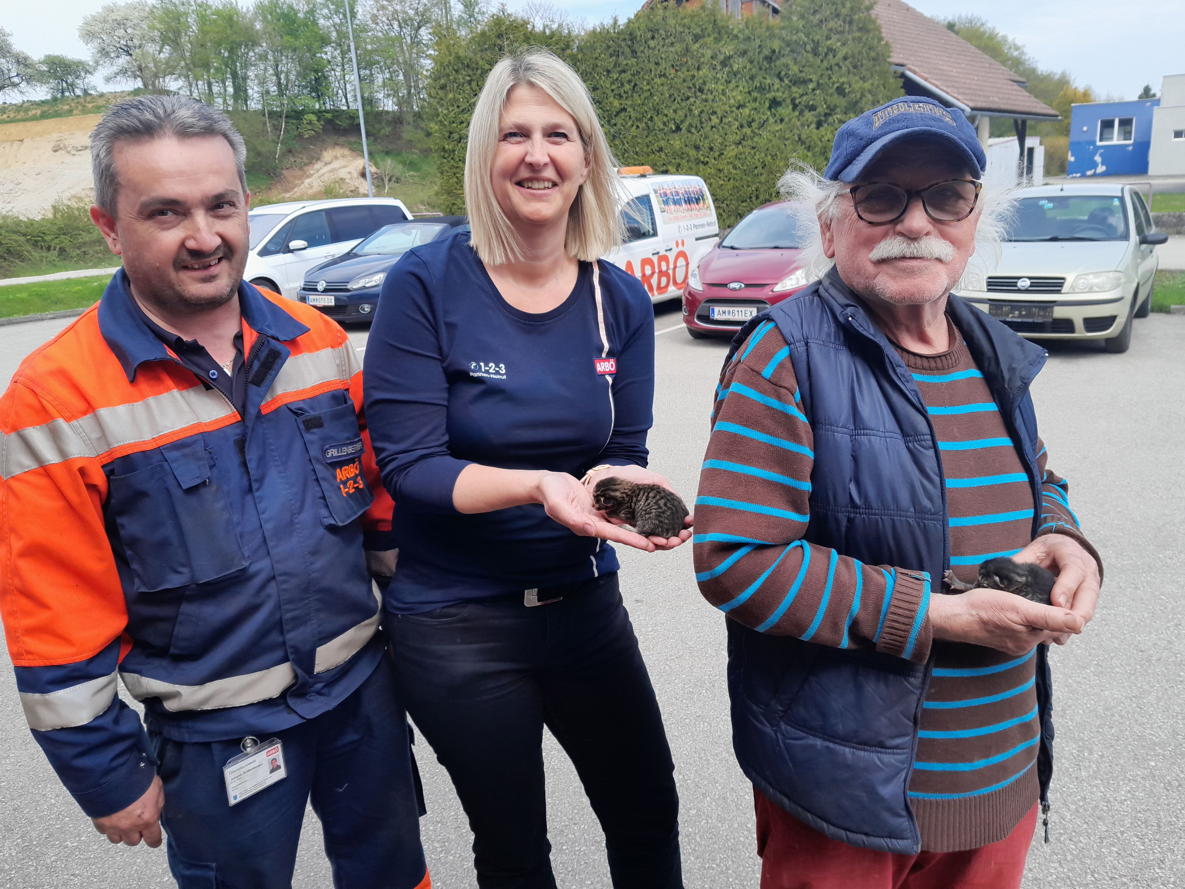 Bilder von der Katzen-Rettung.