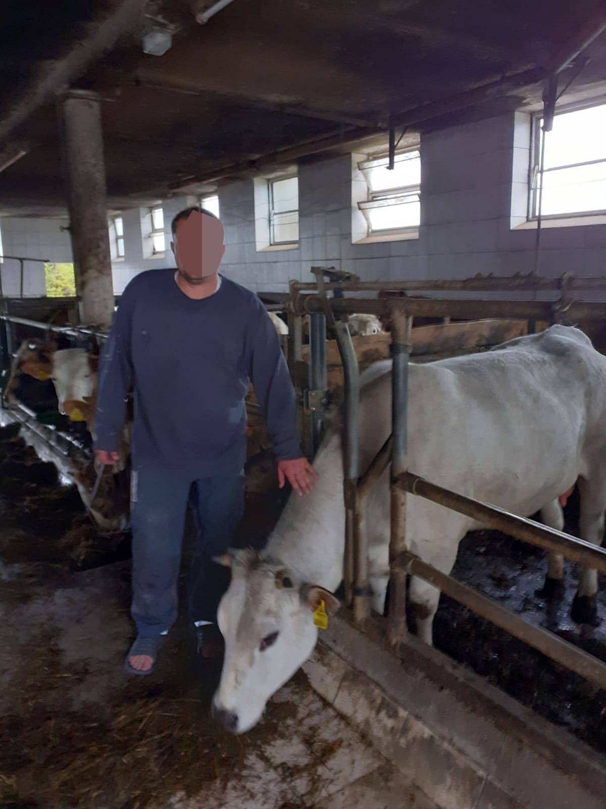 Martin S. (43) auf seinem Hof im Mostviertel