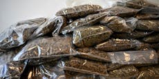 Rekordfund – Polizei beschlagnahmt 31 Tonnen Cannabis