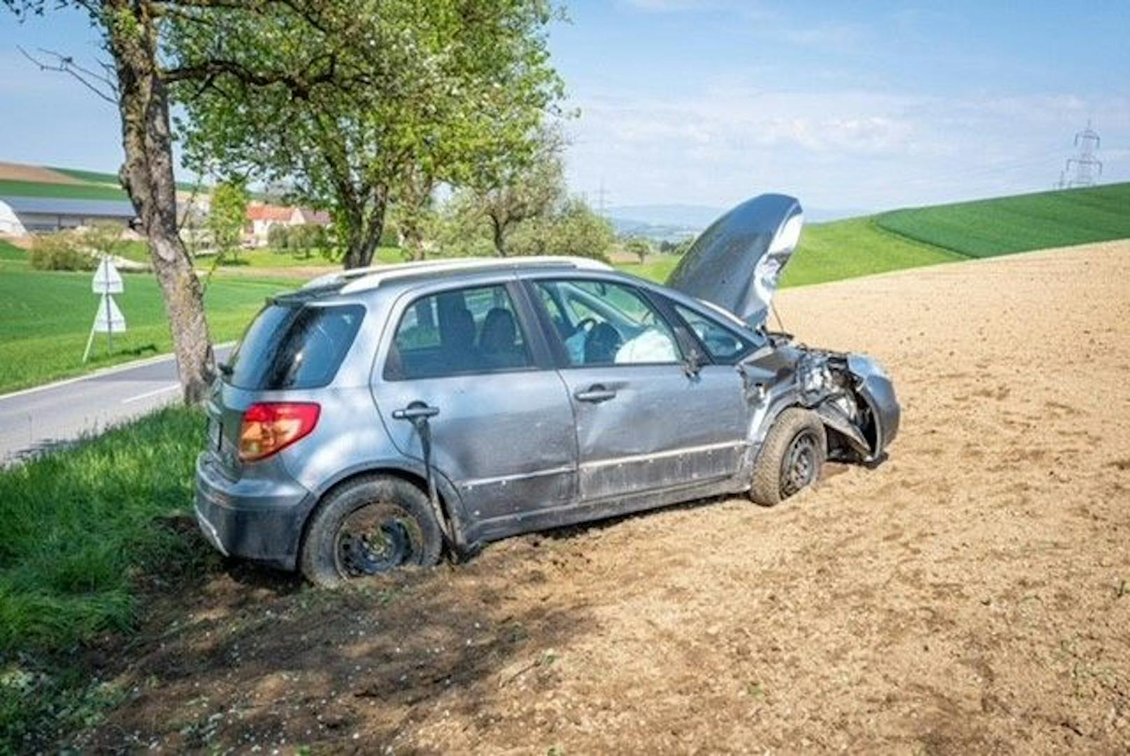 Eine Lenkerin verlor die Kontrolle über sein Fahrzeug.
