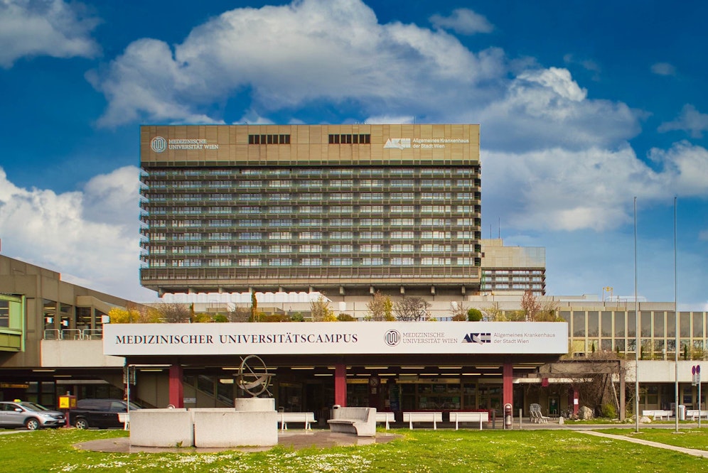 Der Niederösterreicher wurde ins AKH Wien gebracht.