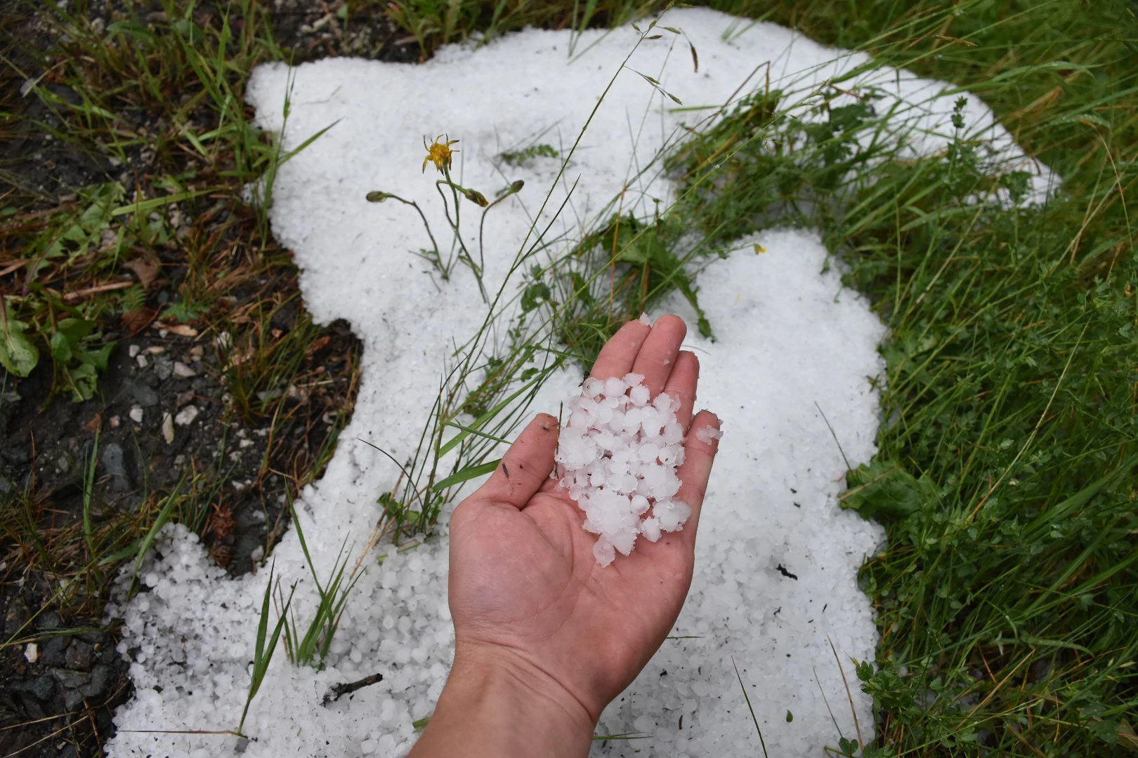 Unwetter mit Starkregen und Hagel  werden erwartet. (Symbolbild)