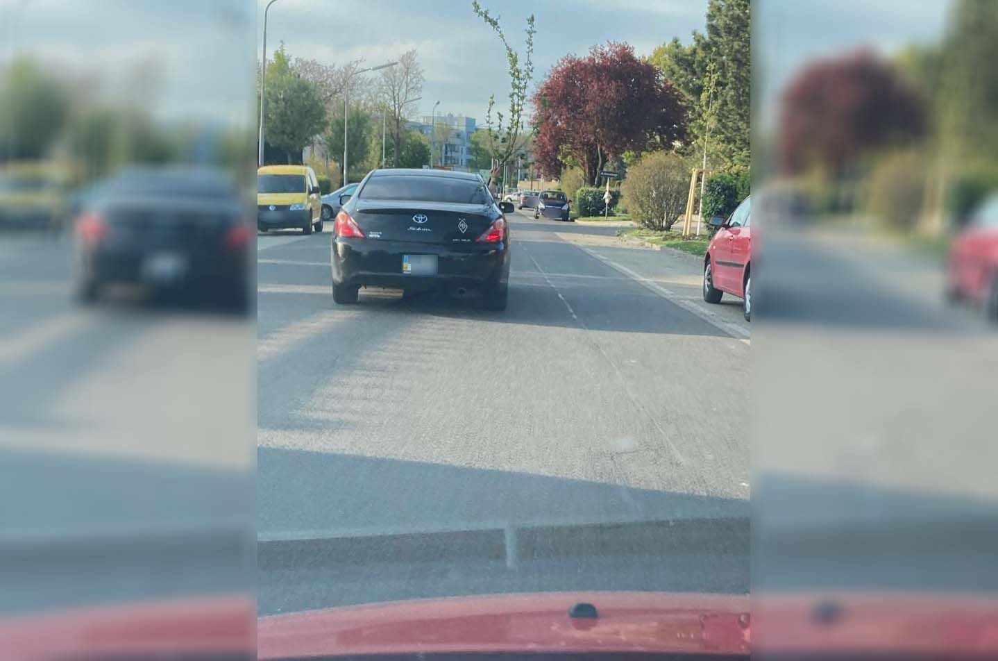 Der Fahrer transportierte einen Baum im Auto.