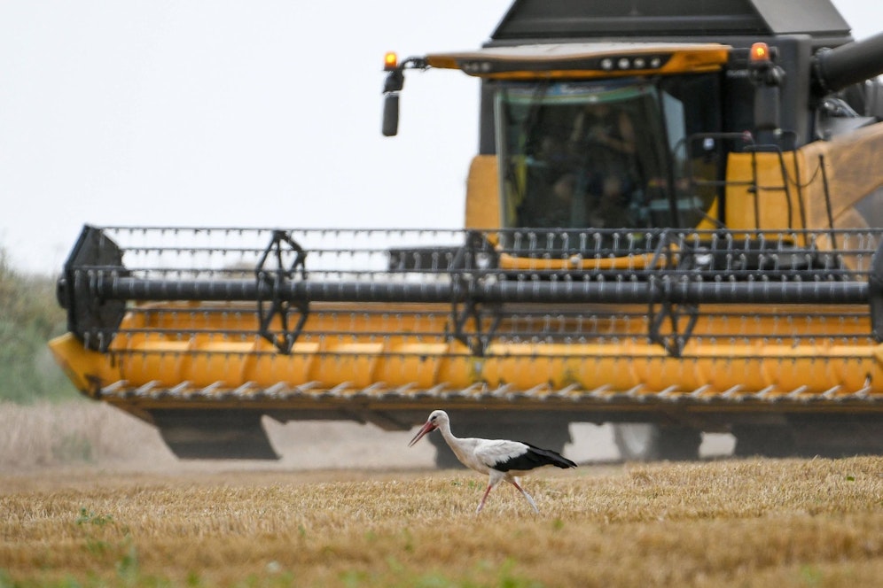 Russische Soldaten stahlen in der Ukraine etliche Landmaschinen. (Symbolbild)