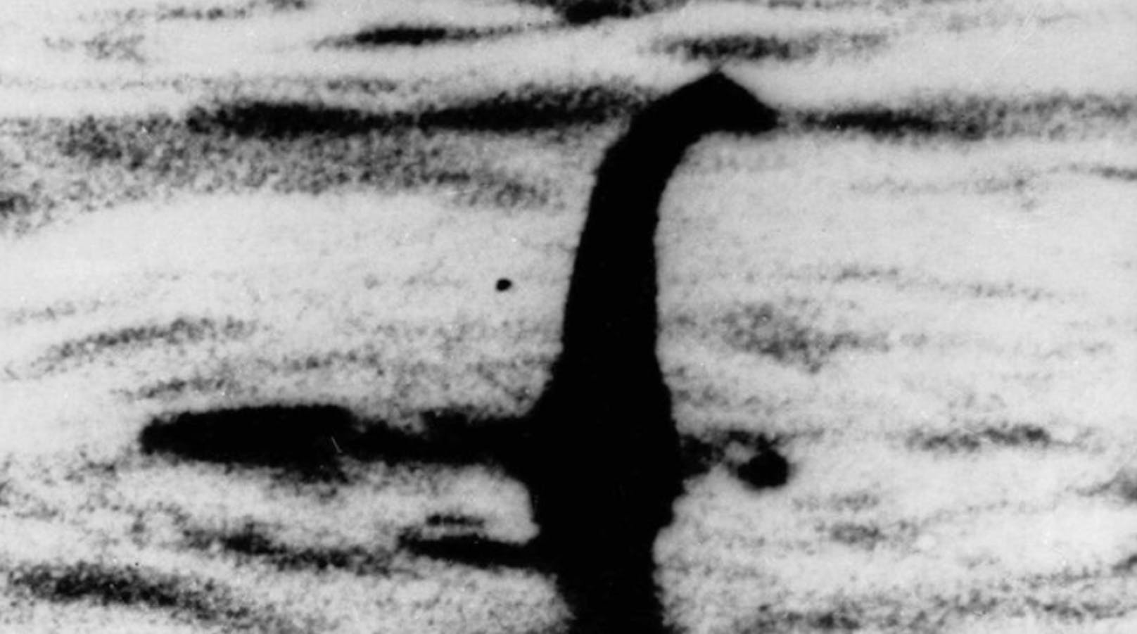 Selbstgebasteltes Monster auf einem Spielzeug-U-Boot: Diese Aufnahme erreichte Berühmtheit, wurde später aber ebenfalls als Fälschung enttarnt. 