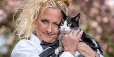 Frau heiratet Katze um Zwangsräumung zu entgehen
