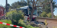 Frau kämpft nach Bus-Crash in Wien um ihr Leben