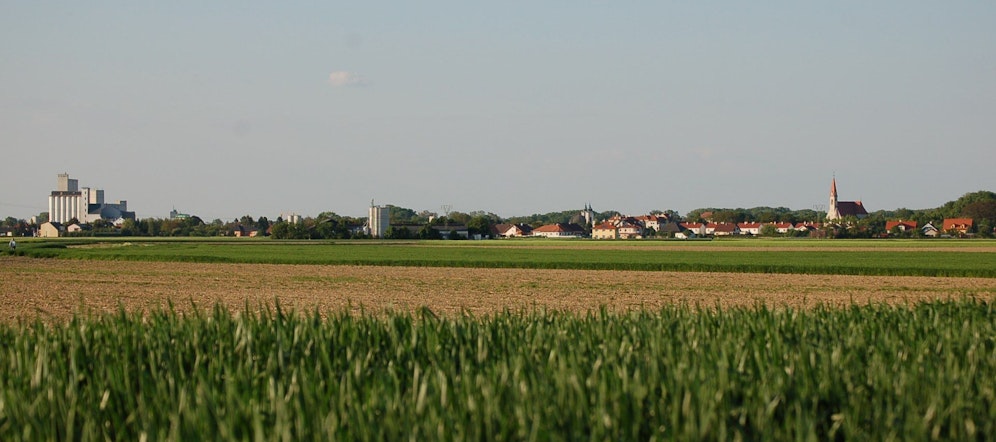 Turbulente politische Tage in Lichtenwörth