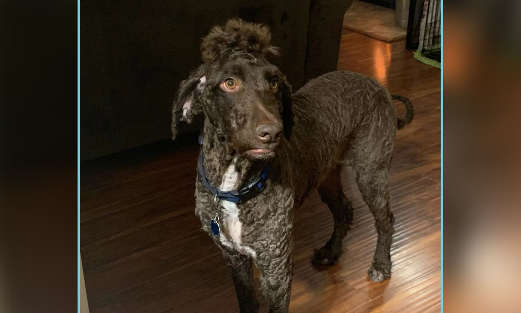 "Wieso lachen mich alle aus?" 