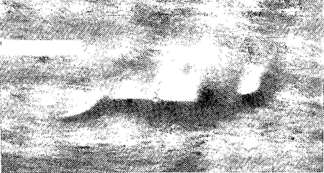 Das erste "Nessie"-Foto von 1933 zeigt in Wahrheit einen schwimmenden Labradorhund mit Stock. 