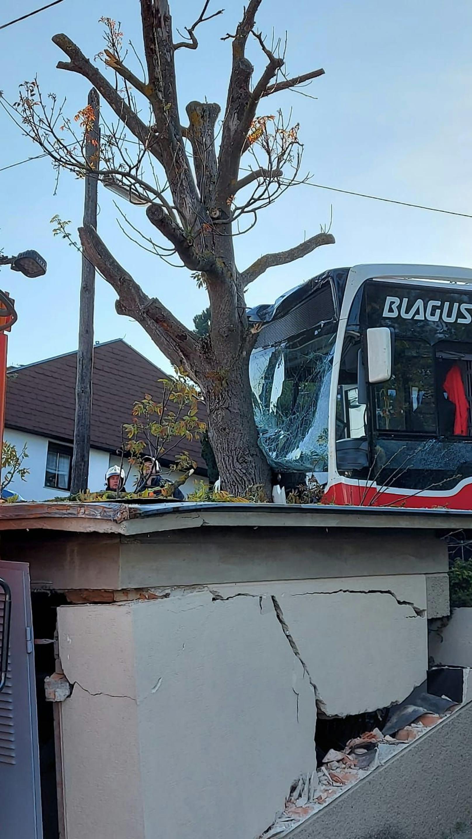 Der Autobus krachte in einen Baum