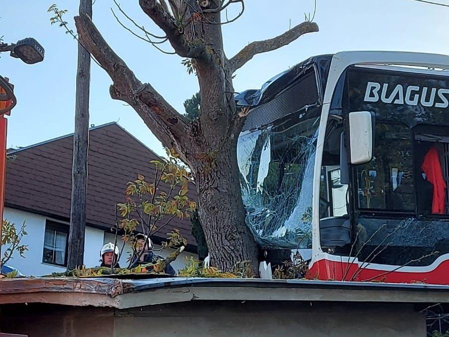 Der Autobus krachte in einen Baum
