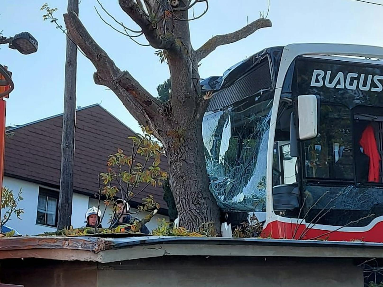 Der Autobus krachte in einen Baum.