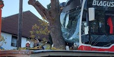 Sieben Verletzte bei schwerem Bus-Crash in Wien