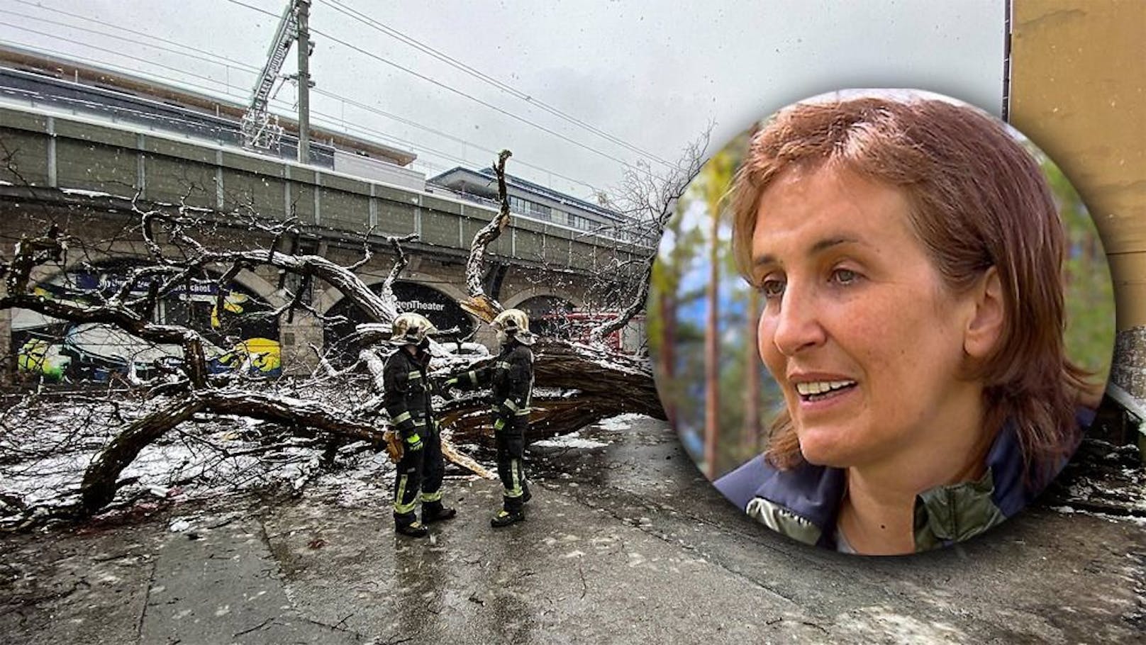 Semira C. überlebte einen schlimmen Unfall. Dieser Baumstamm erwischte die Mutter aus Innsbruck am Kopf.