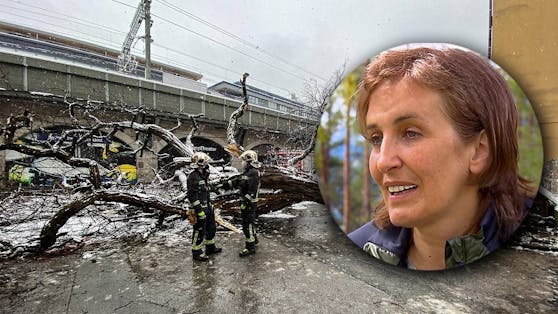 Semira C. überlebte einen schlimmen Unfall. Dieser Baumstamm erwischte die Mutter aus Innsbruck am Kopf.