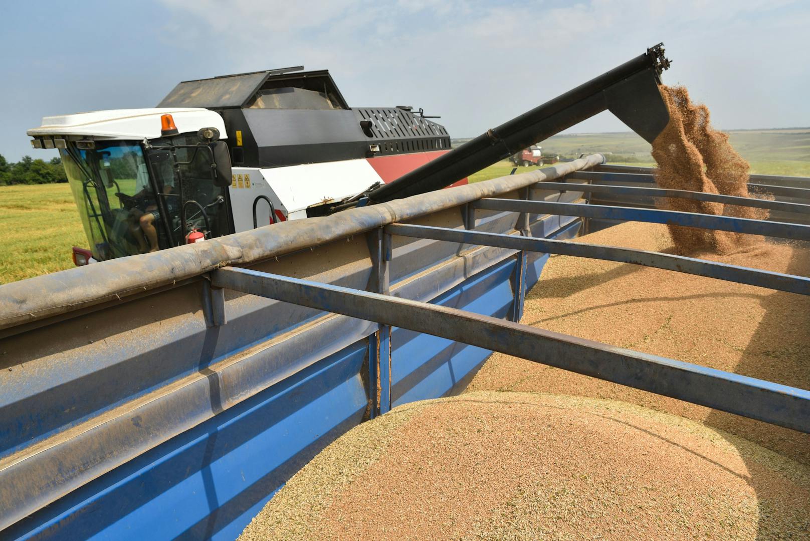 Die Ukraine gilt global gesehen als wichtiger Weizenproduzent. Nun beschlagnahmte Russland mehr als 400.000 Tonnen Weizen. 