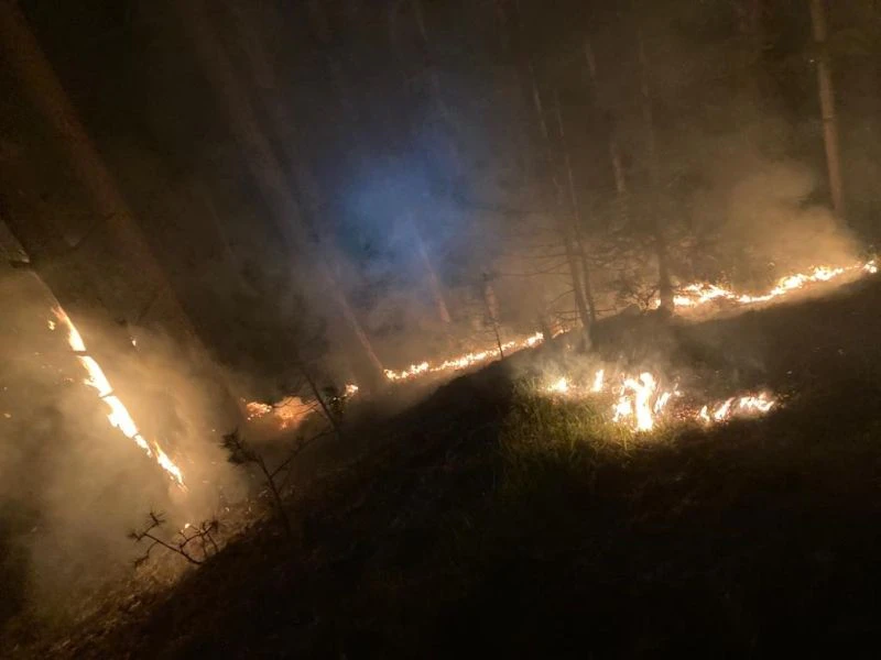 Bilder vom Brand